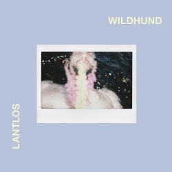 Lantlôs - Wildhund