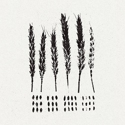 Lo! - The Gleaners