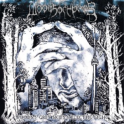 Woods Of Ypres - Woods 5: Grey Skies & Electric Light
