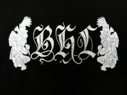 Blue Hummingbird On The Left