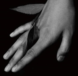 Cigarettes After Sex v Brně