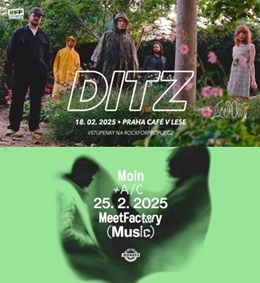 Dva krátké reporty z února