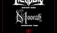 Headsic a Moorah proměnili Kačerov v epicentrum sonického teroru