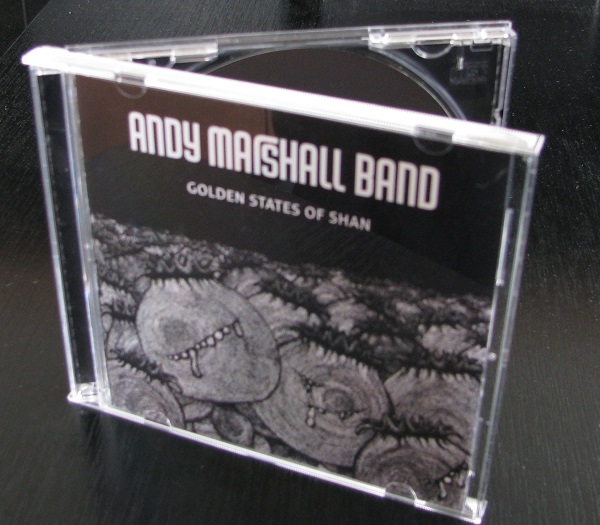 Andy Marshall Band CD