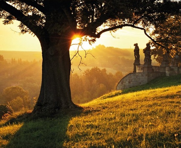 Popidum - Desiderium (back)